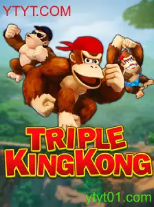 Desvendando o Mundo de TripleKingKong